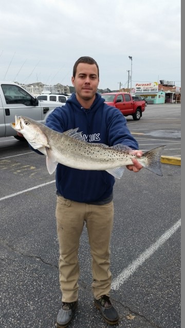 Speckled Trout Are Still Here
