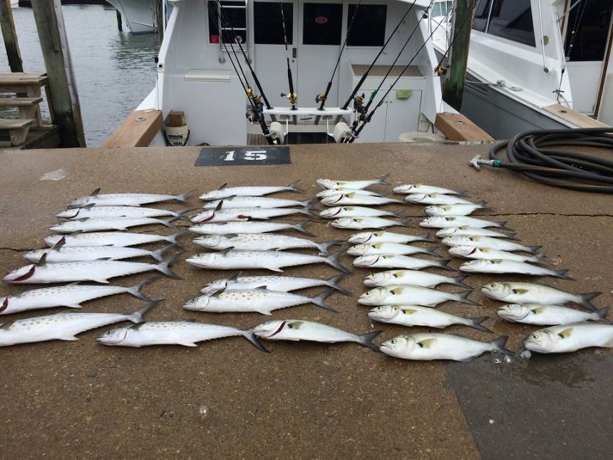 9 Inshore Trips Today!