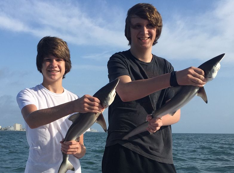 Successful Shark Fishing This Morning…Bluefish In The Afternoon