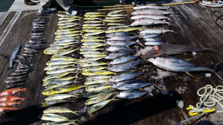 A Great Day Offshore!
