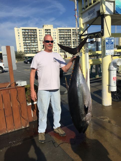 Day 2 For Mid Atlantic Rockfish Shootout & Good Tuna Fishing