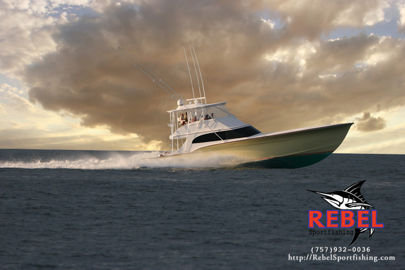 Spotlight Boat: Rebel