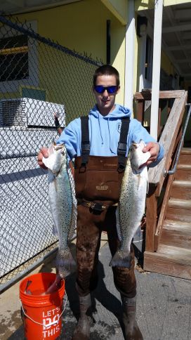 Speckled Trout and Bluefish