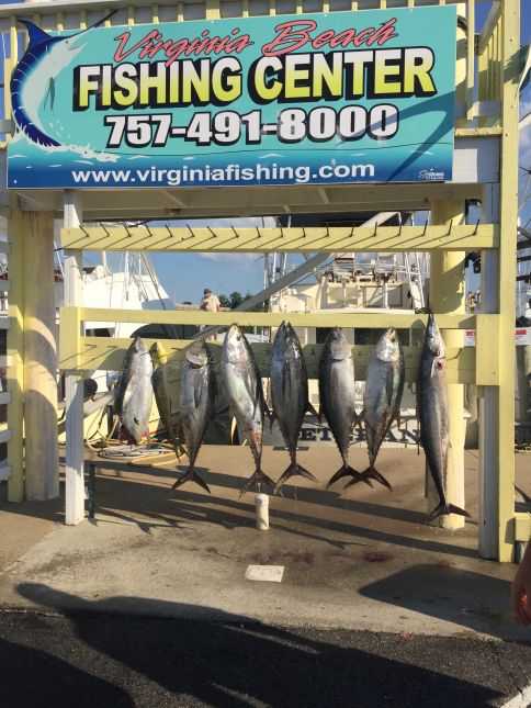 Tuna on the Docks!