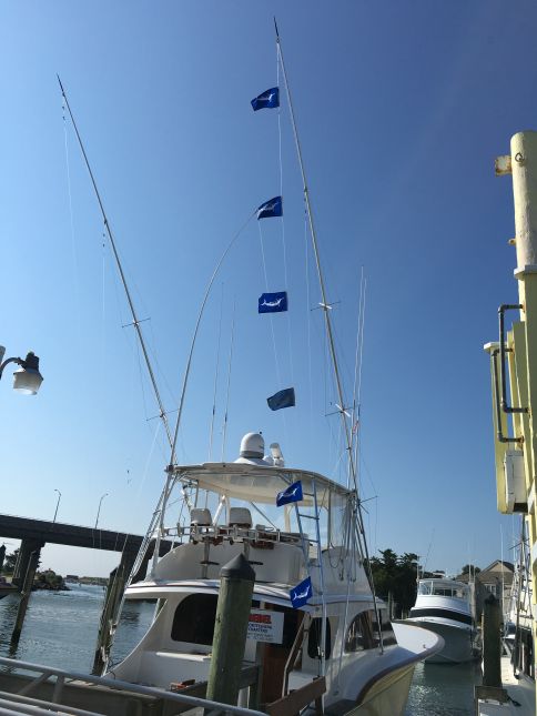 White Marlin Flags Flying High!