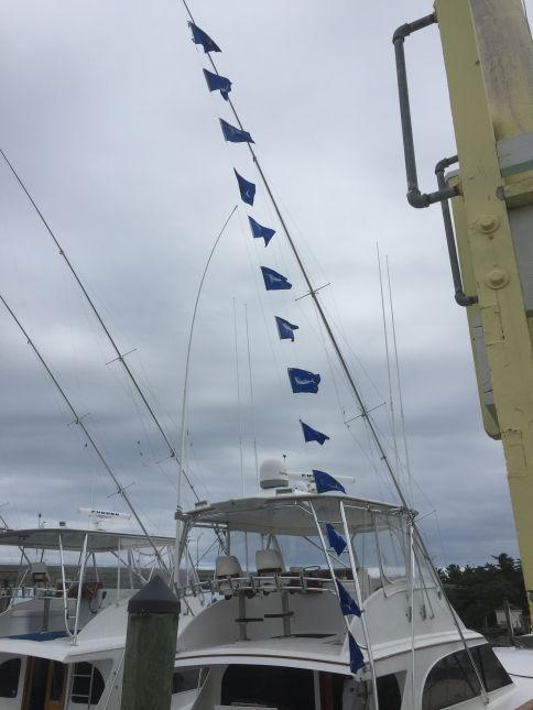 Mackerel & Marlin Flags Galore!