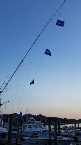 White Marlin Flags Flying!