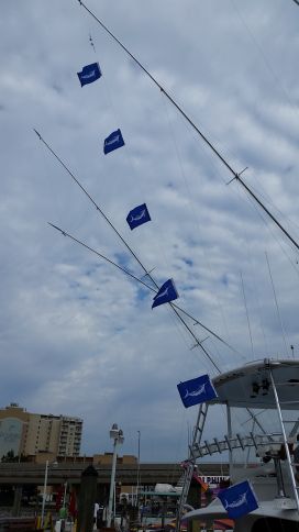 White Marlin flags and Mahi on deck!