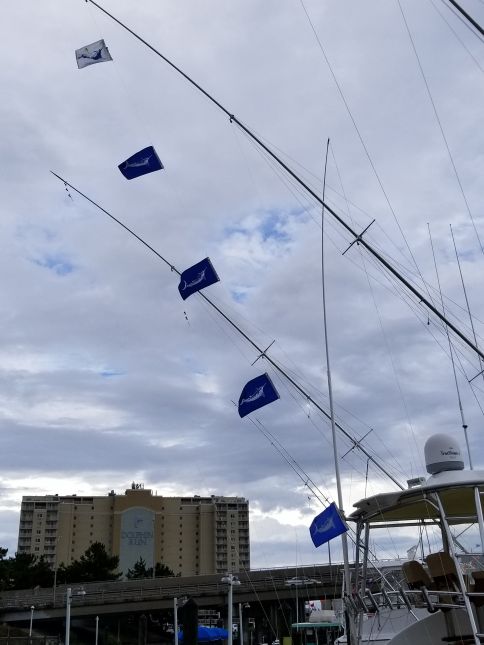 Marlin Flags Flying!