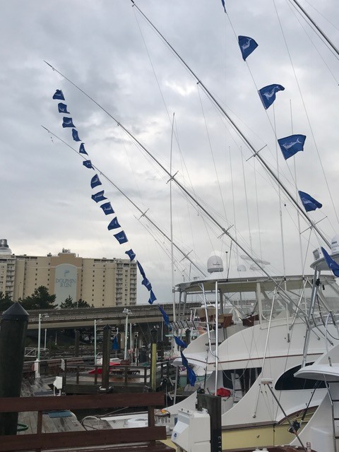 White Marlin Flags Everywhere