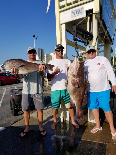 Marlin Release, Wahoo, and a Big Grouper